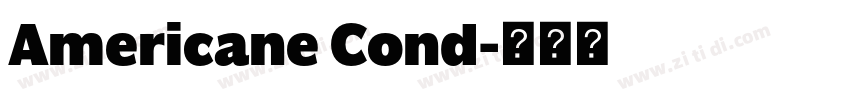 Americane Cond字体转换